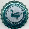 Ente / Duck