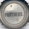 Carolina Panthers